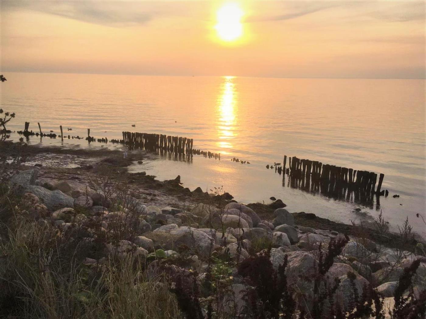 Dahmer Strand 18 Muschelhus Exteriér fotografie